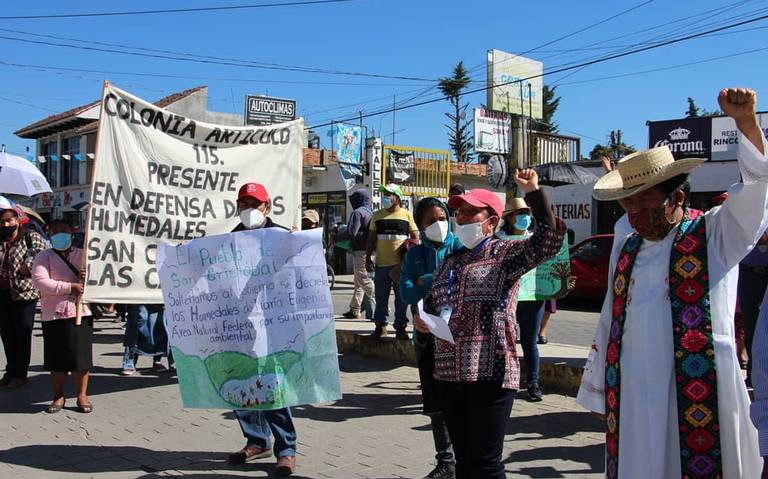 Urbanización los pone en riesgo
<br>Marchan en San Cristóbal para demandar que se preserven humedales